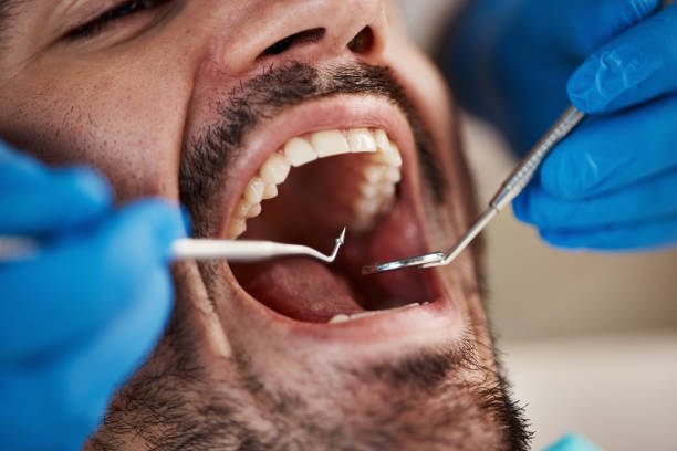 Best Same-Day Emergency Dental Services in Farm Loop, AK