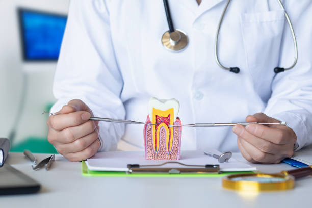Best Emergency Wisdom Teeth Removal in Farm Loop, AK
